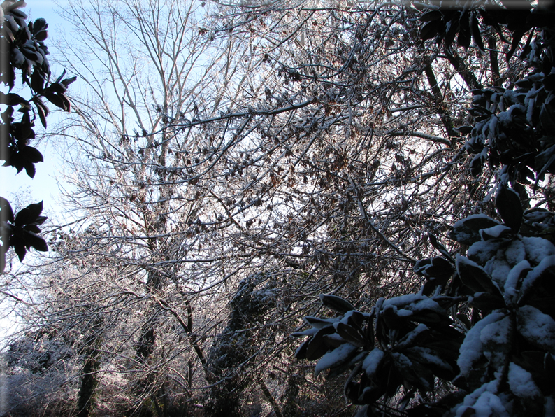 foto Parco Sebellin in Inverno